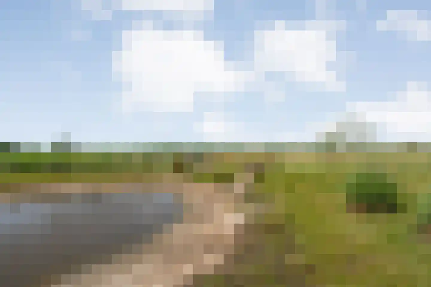 Bloemenkampsweg 13 Luttenberg thumbnail 71