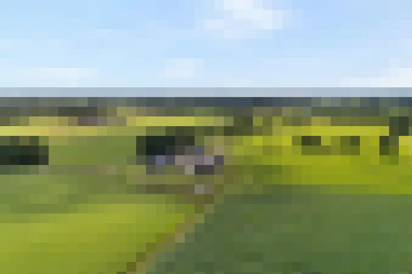 Bloemenkampsweg 13 Luttenberg thumbnail 78
