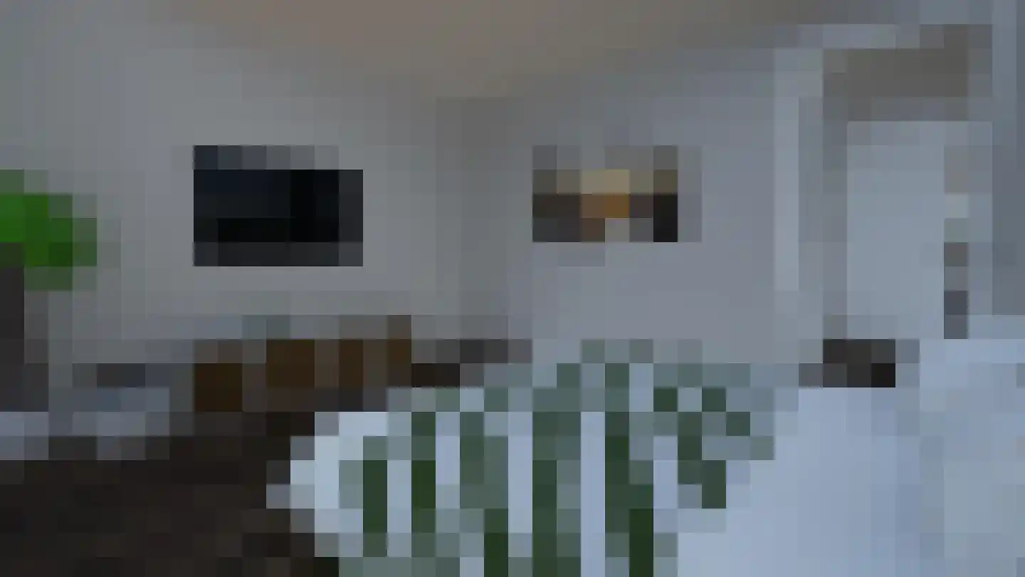 Bloemenkampsweg 5 Lettele thumbnail 14