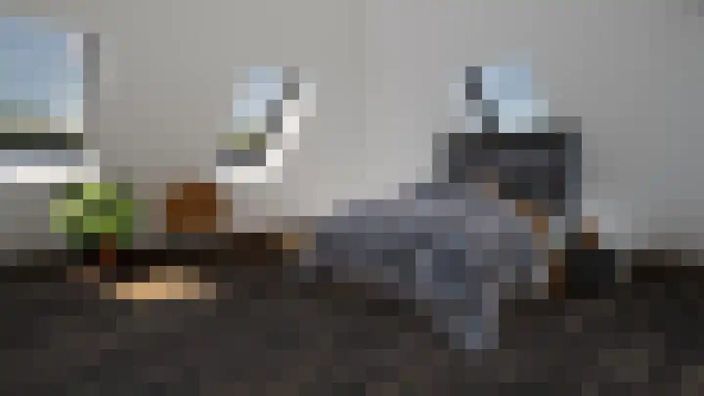 Bloemenkampsweg 5 Lettele thumbnail 18