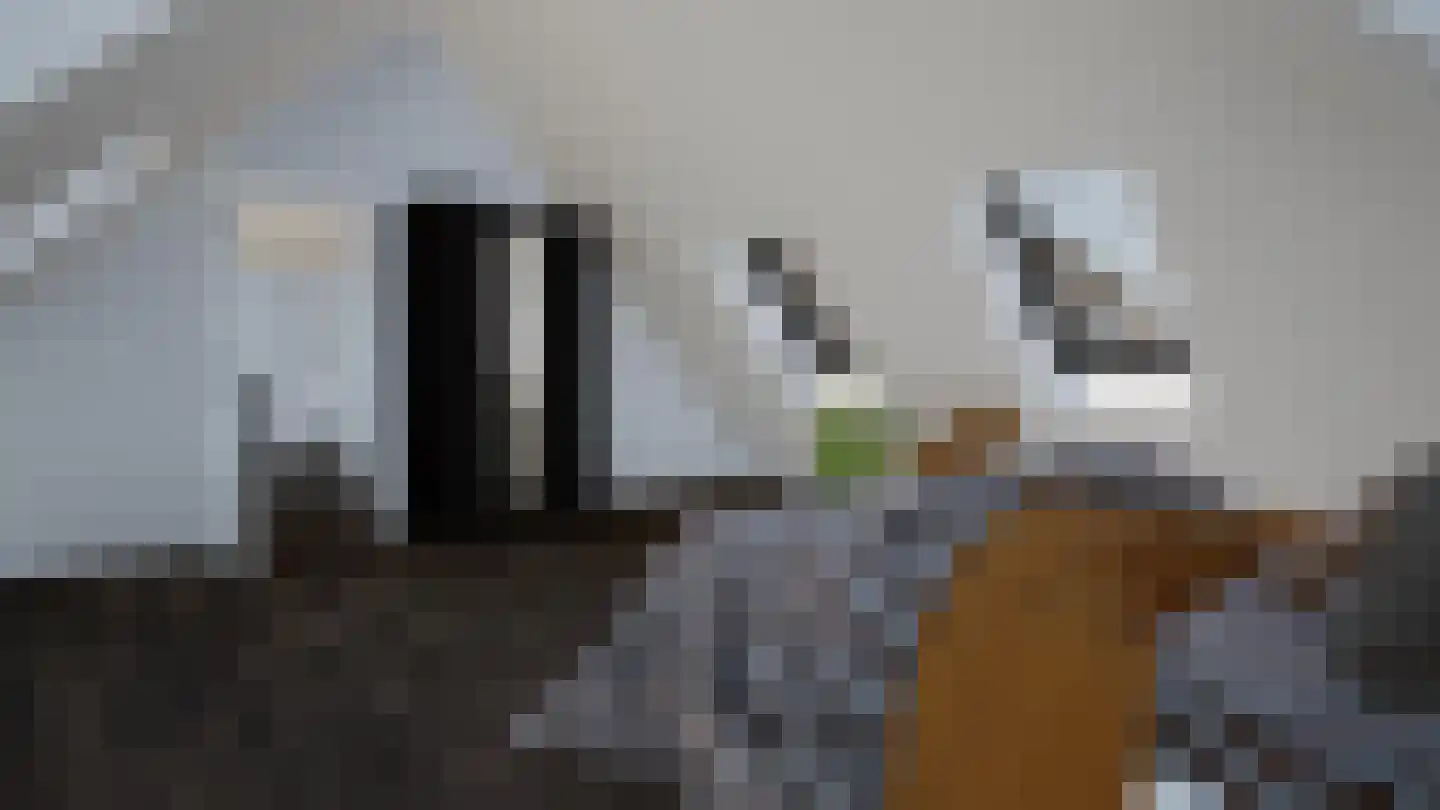 Bloemenkampsweg 5 Lettele thumbnail 19