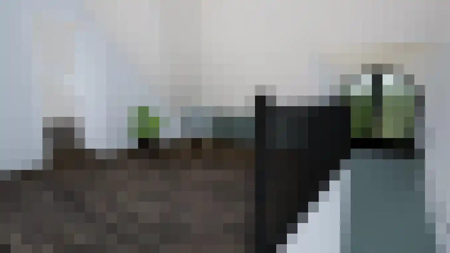 Bloemenkampsweg 5 Lettele thumbnail 22