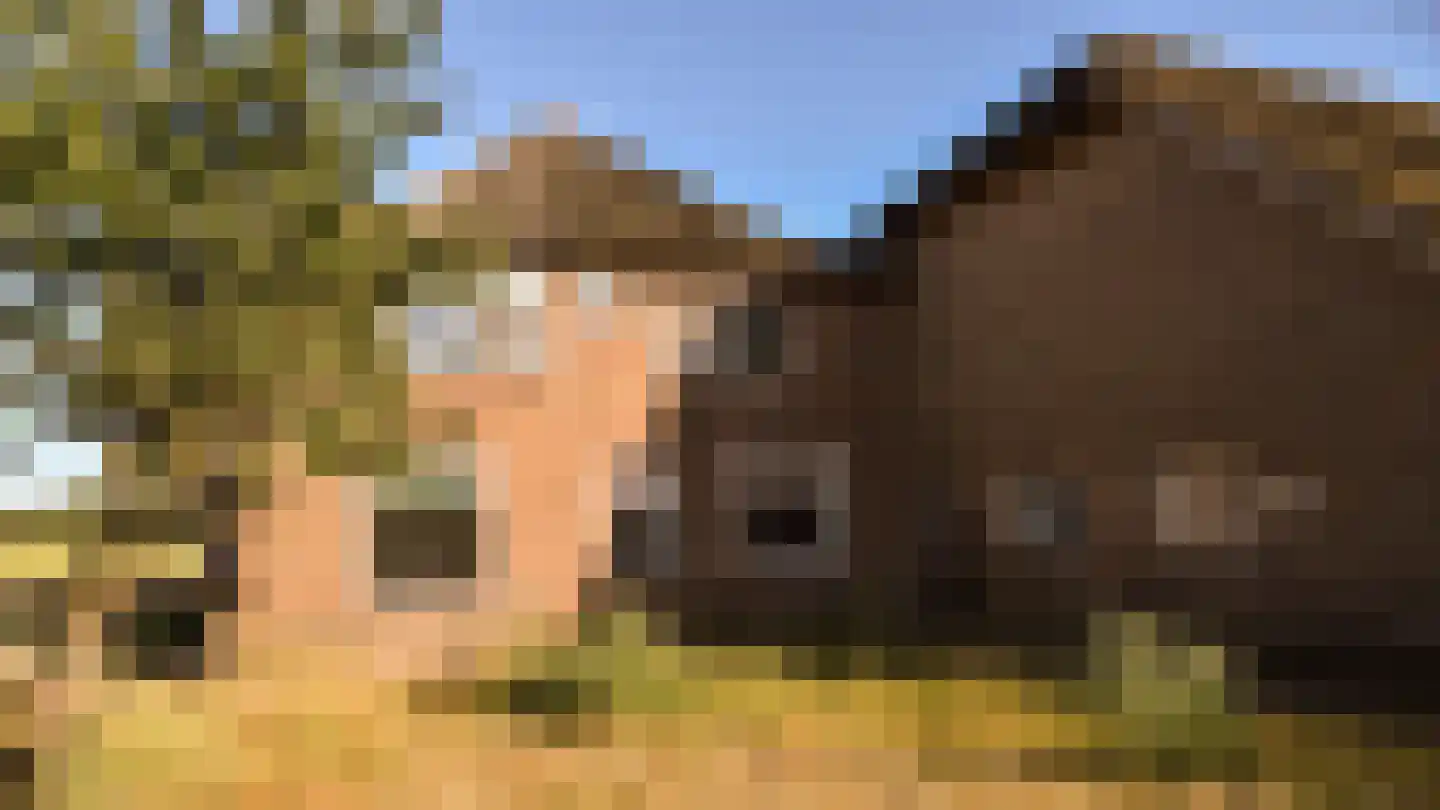 Bloemenkampsweg 5 Lettele thumbnail 26