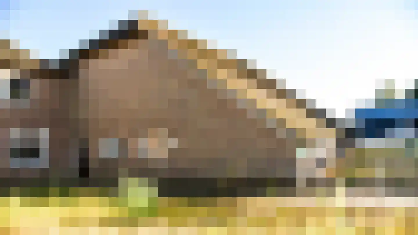 Bloemenkampsweg 5 Lettele thumbnail 27