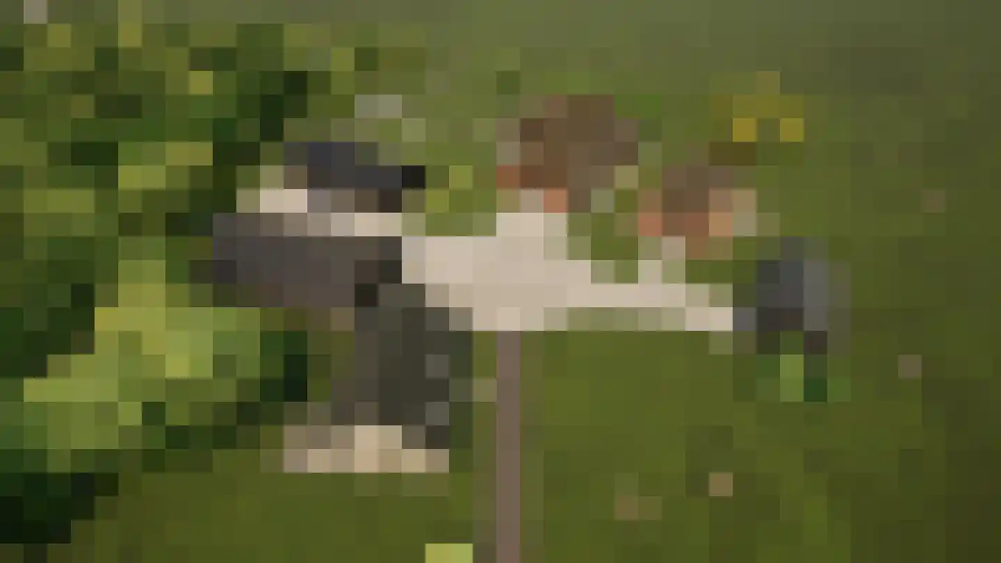 Bloemenkampsweg 5 Lettele thumbnail 39