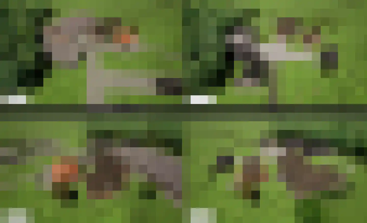 Bloemenkampsweg 5 Lettele thumbnail 39