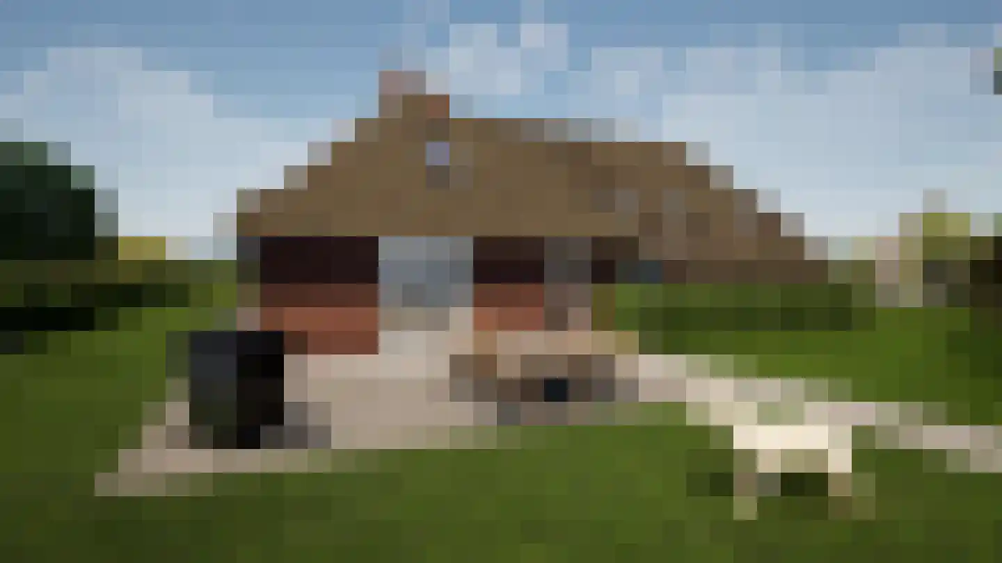 Bloemenkampsweg 5 Lettele thumbnail 4