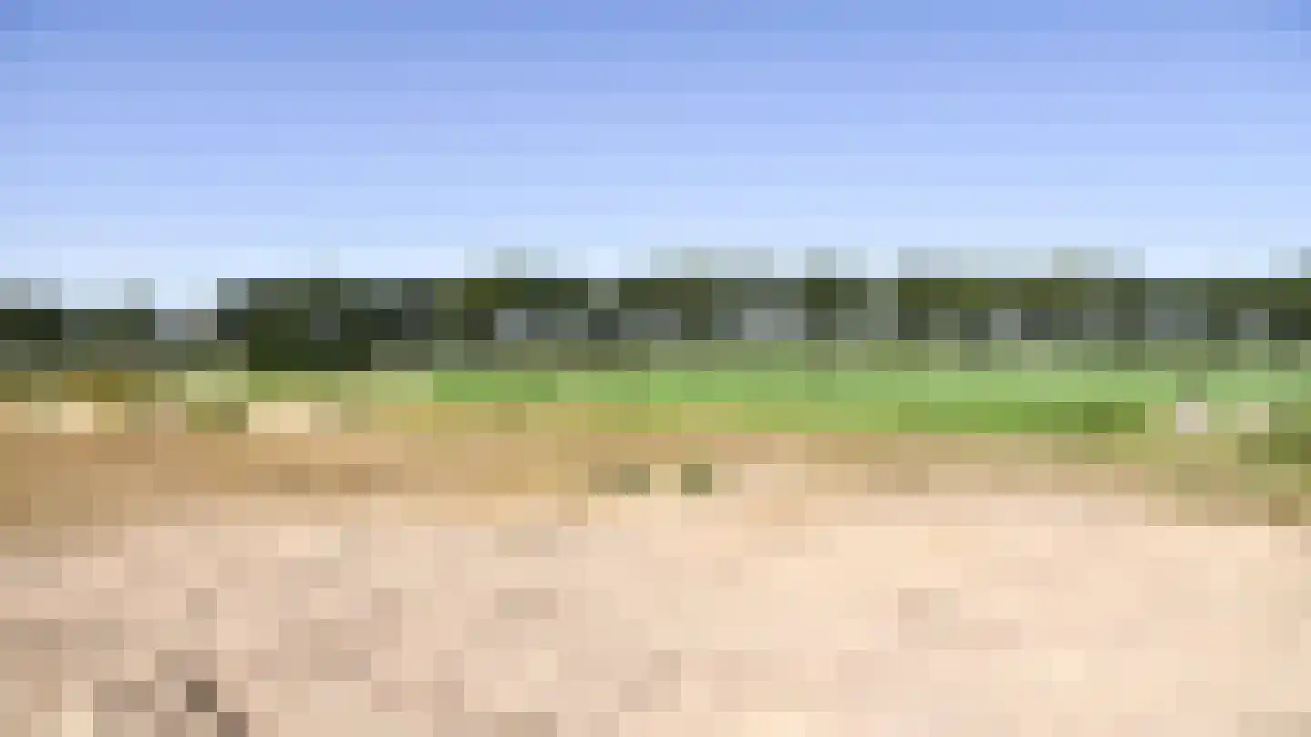 Bloemenkampsweg 5 Lettele thumbnail 40