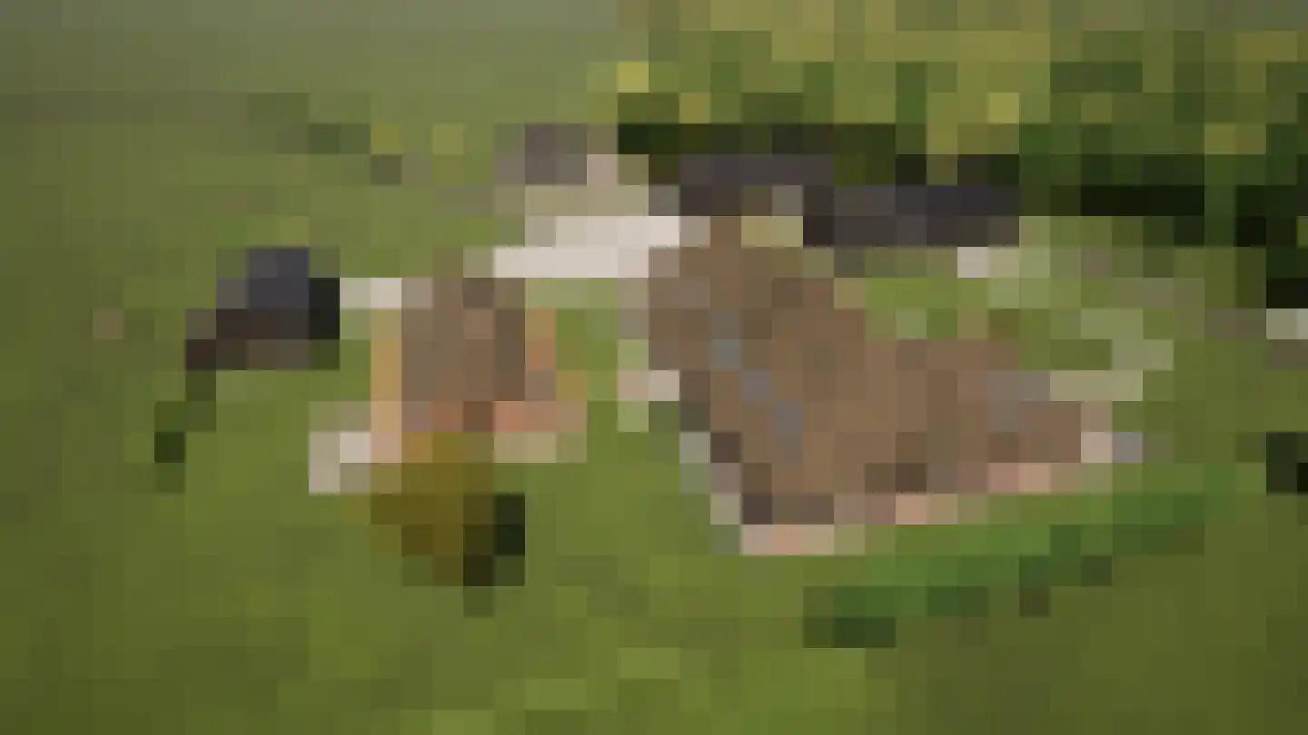 Bloemenkampsweg 5 Lettele thumbnail 40