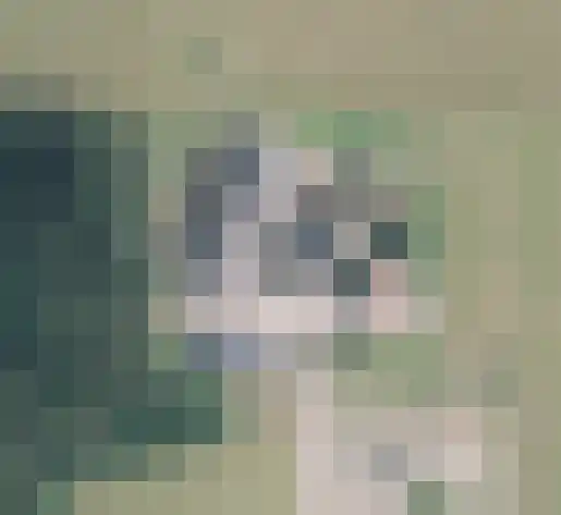 Bloemenkampsweg 5 Lettele thumbnail 41