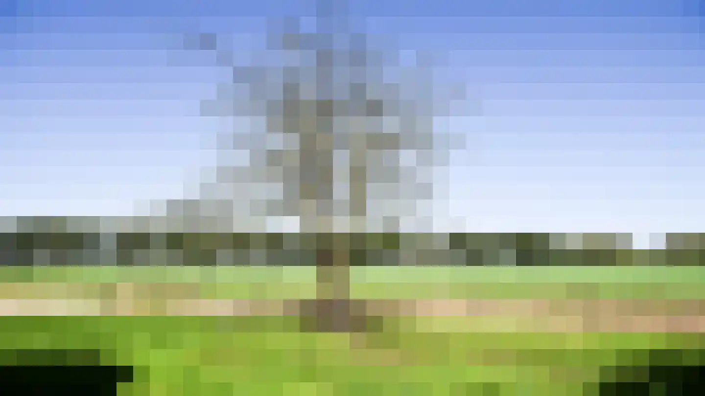 Bloemenkampsweg 5 Lettele thumbnail 41