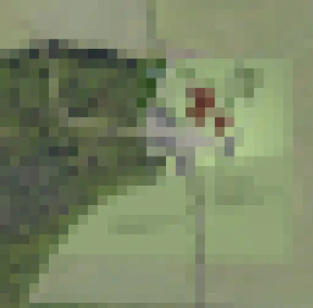 Bloemenkampsweg 5 Lettele thumbnail 42