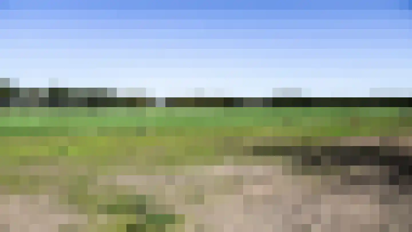Bloemenkampsweg 5 Lettele thumbnail 42
