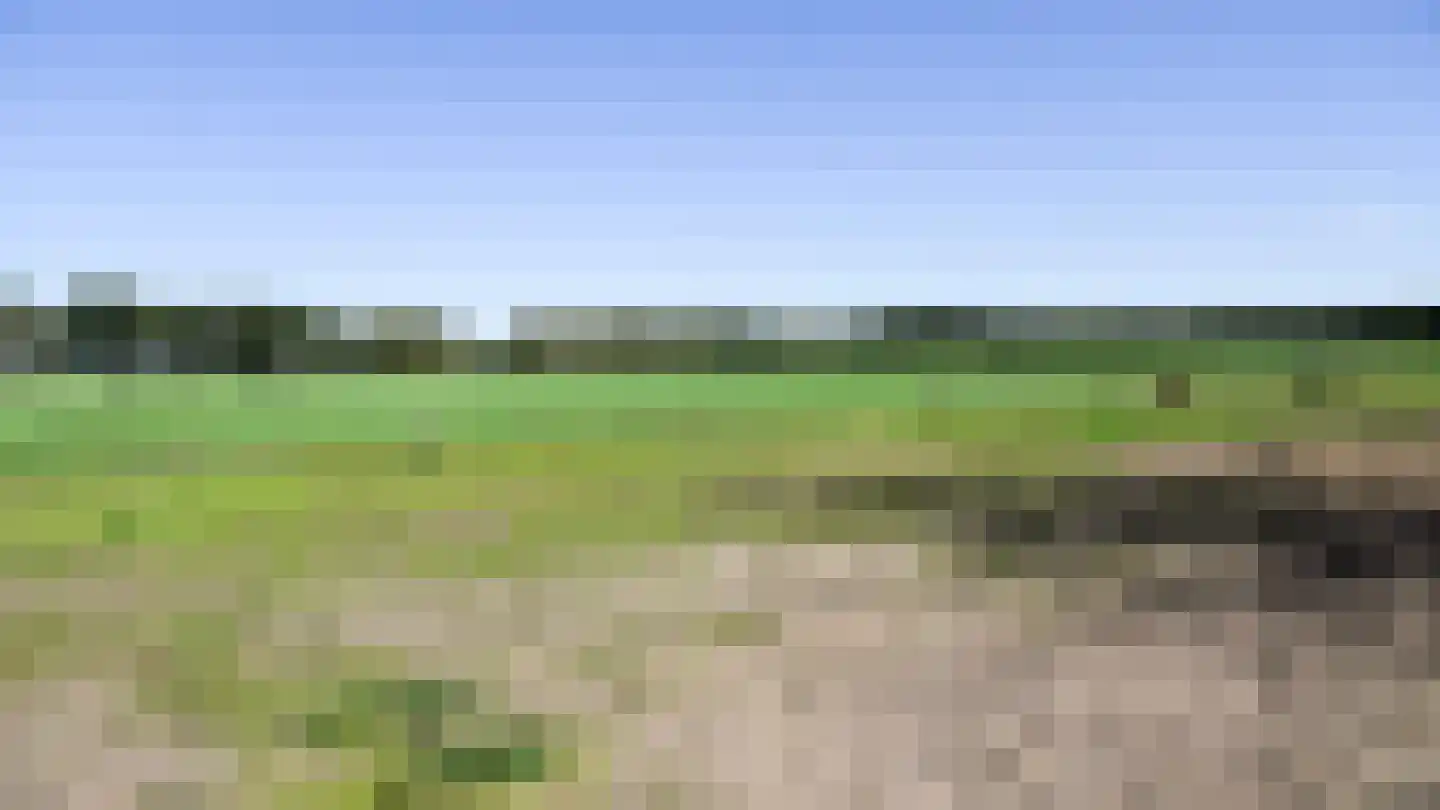 Bloemenkampsweg 5 Lettele thumbnail 43