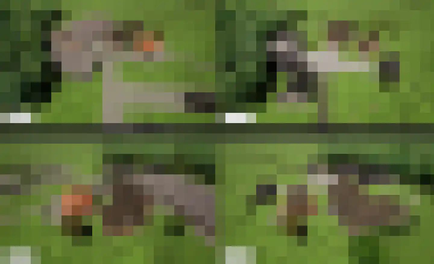 Bloemenkampsweg 5 Lettele thumbnail 43