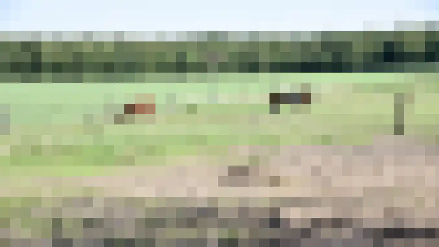 Bloemenkampsweg 5 Lettele thumbnail 44