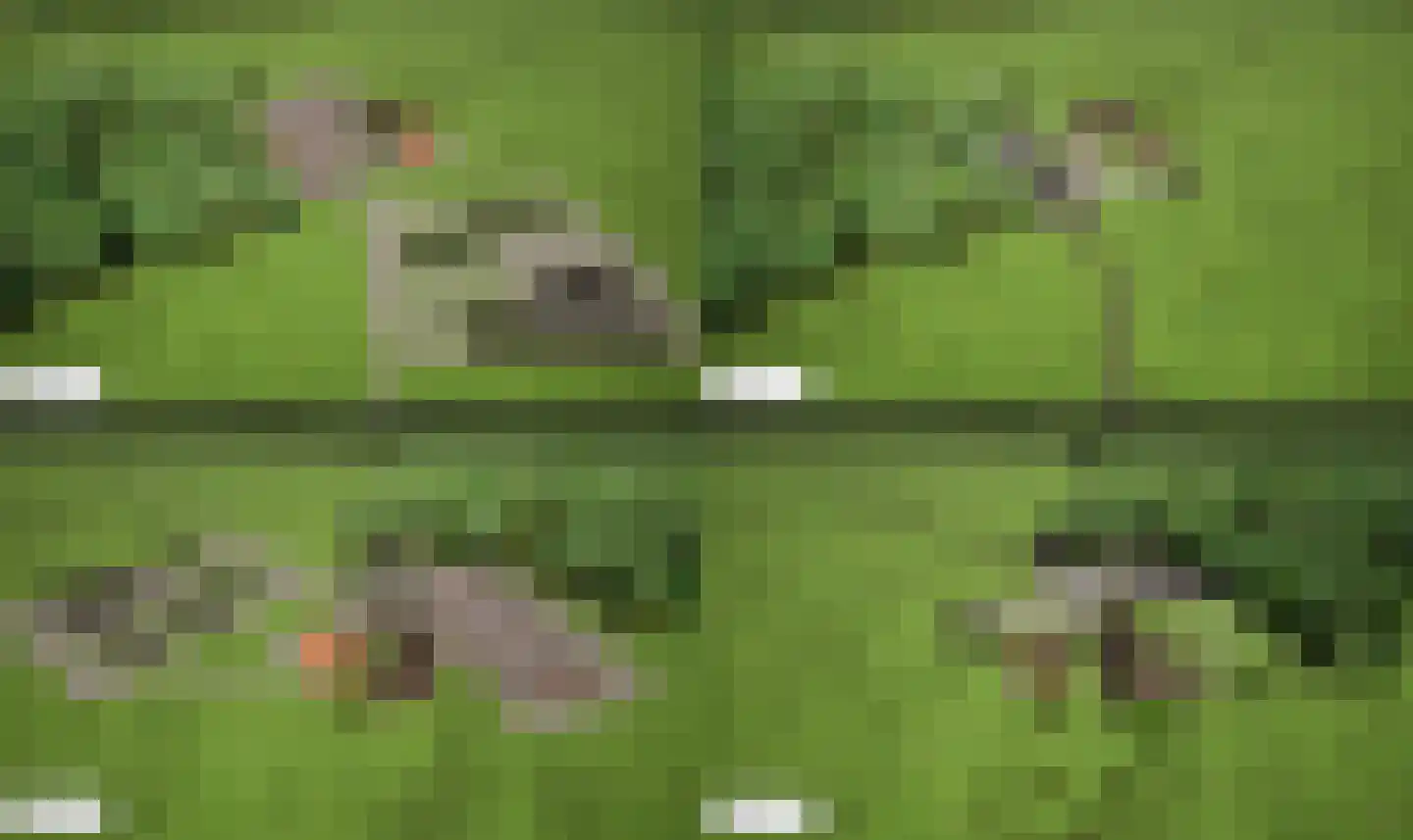 Bloemenkampsweg 5 Lettele thumbnail 44