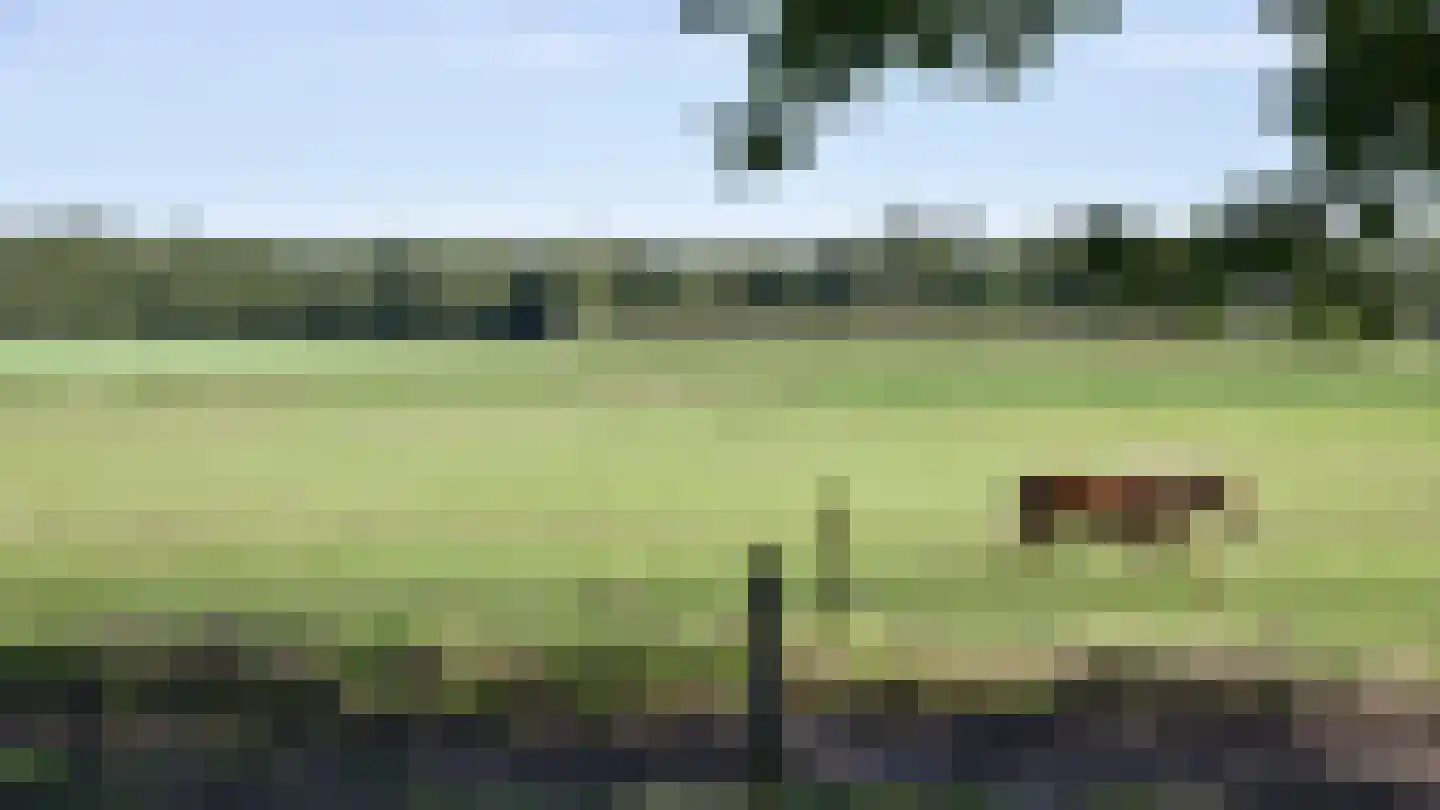 Bloemenkampsweg 5 Lettele thumbnail 45