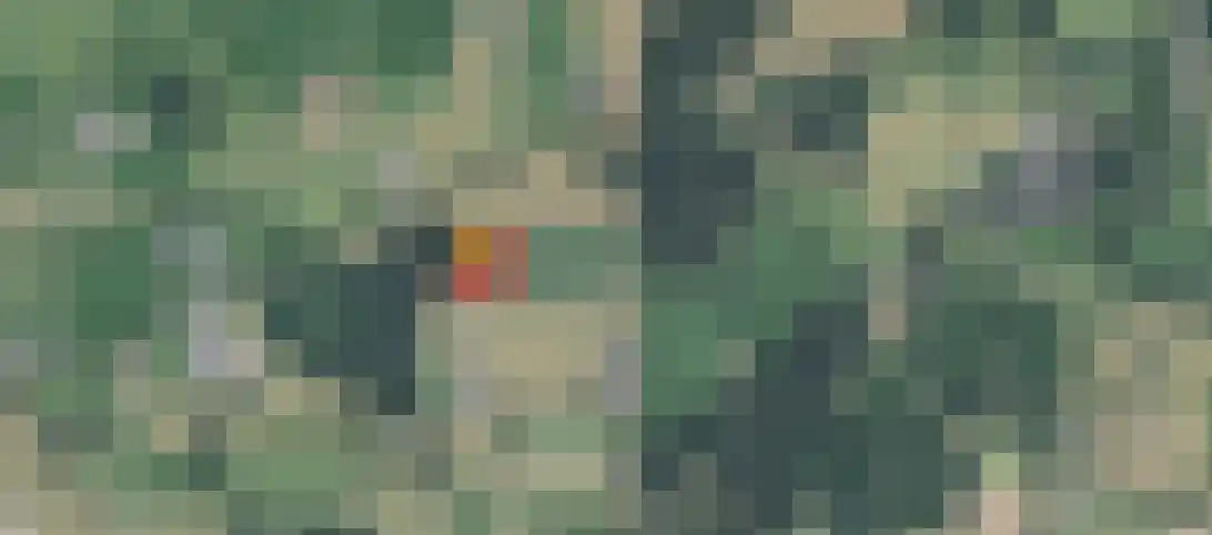 Bloemenkampsweg 5 Lettele thumbnail 49