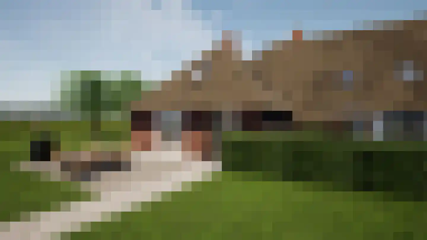 Bloemenkampsweg 5 Lettele thumbnail 5