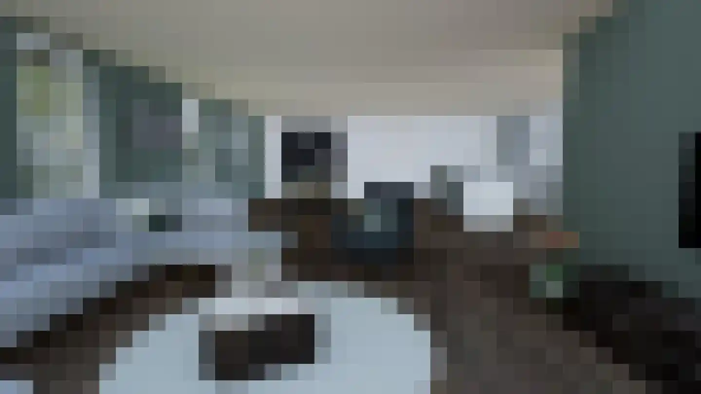 Bloemenkampsweg 5 Lettele thumbnail 8