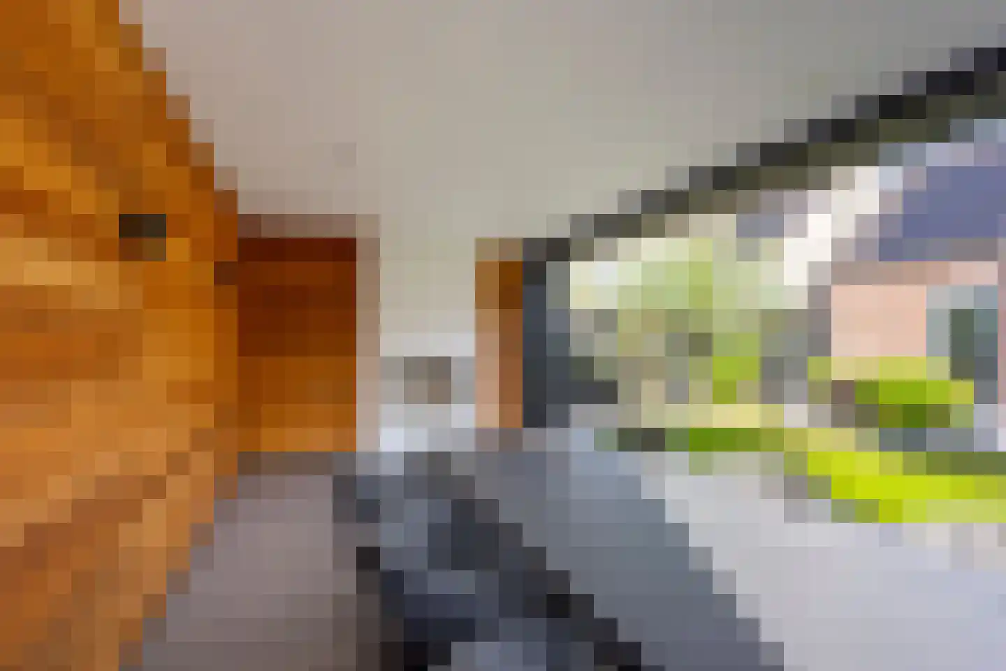 Bloemenkelderlaan 8 Vleuten thumbnail 40