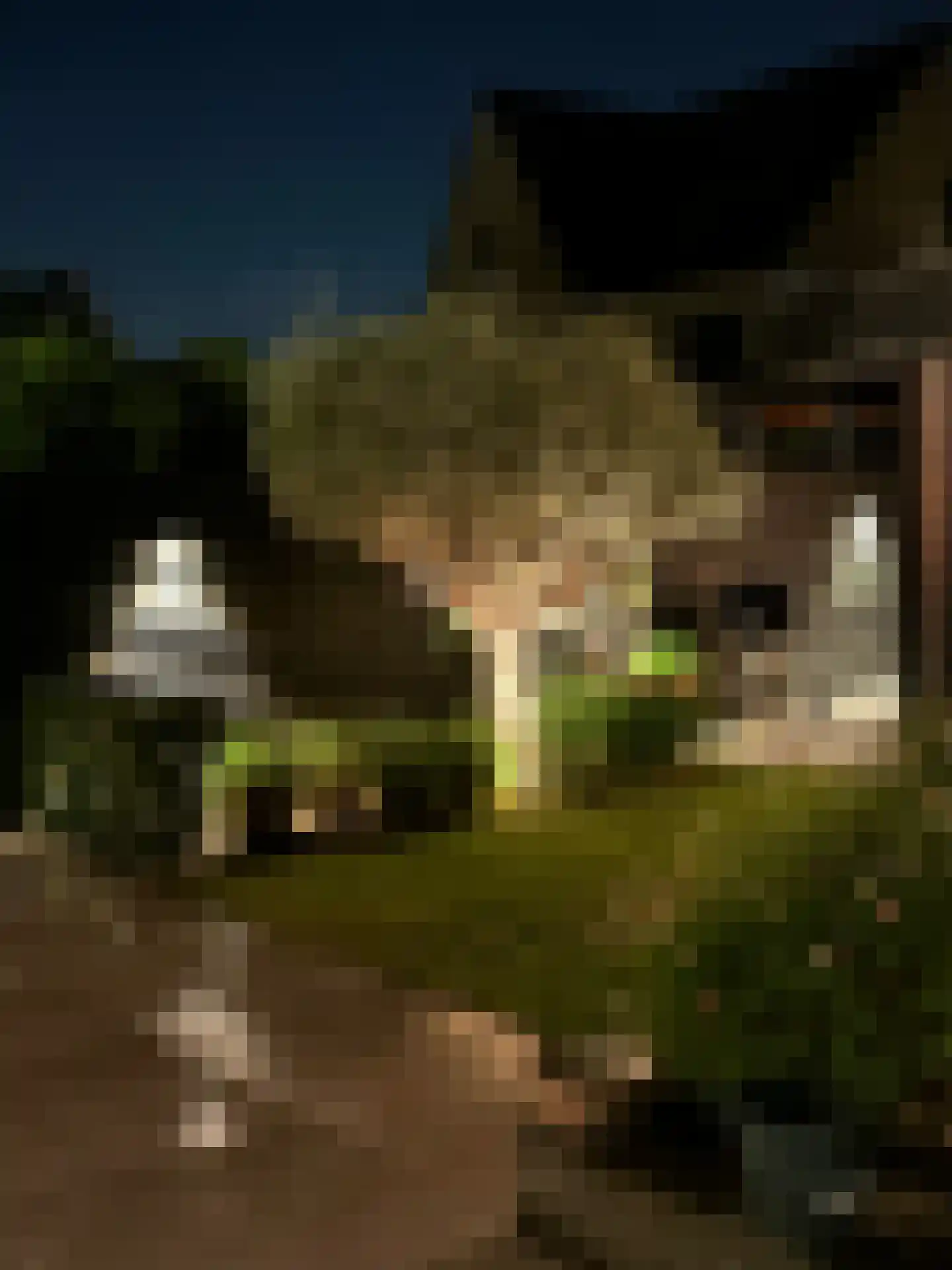 Bloemenkelderlaan 8 Vleuten thumbnail 46