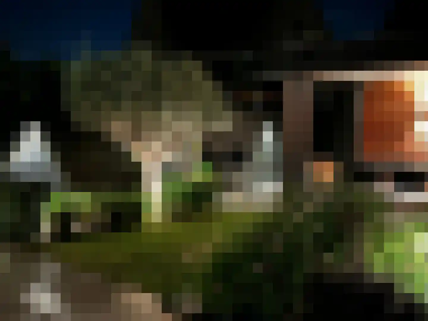 Bloemenkelderlaan 8 Vleuten thumbnail 47