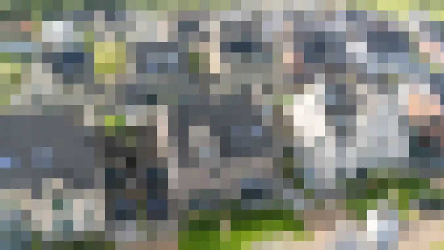 Bloemenkelderlaan 8 Vleuten thumbnail 6
