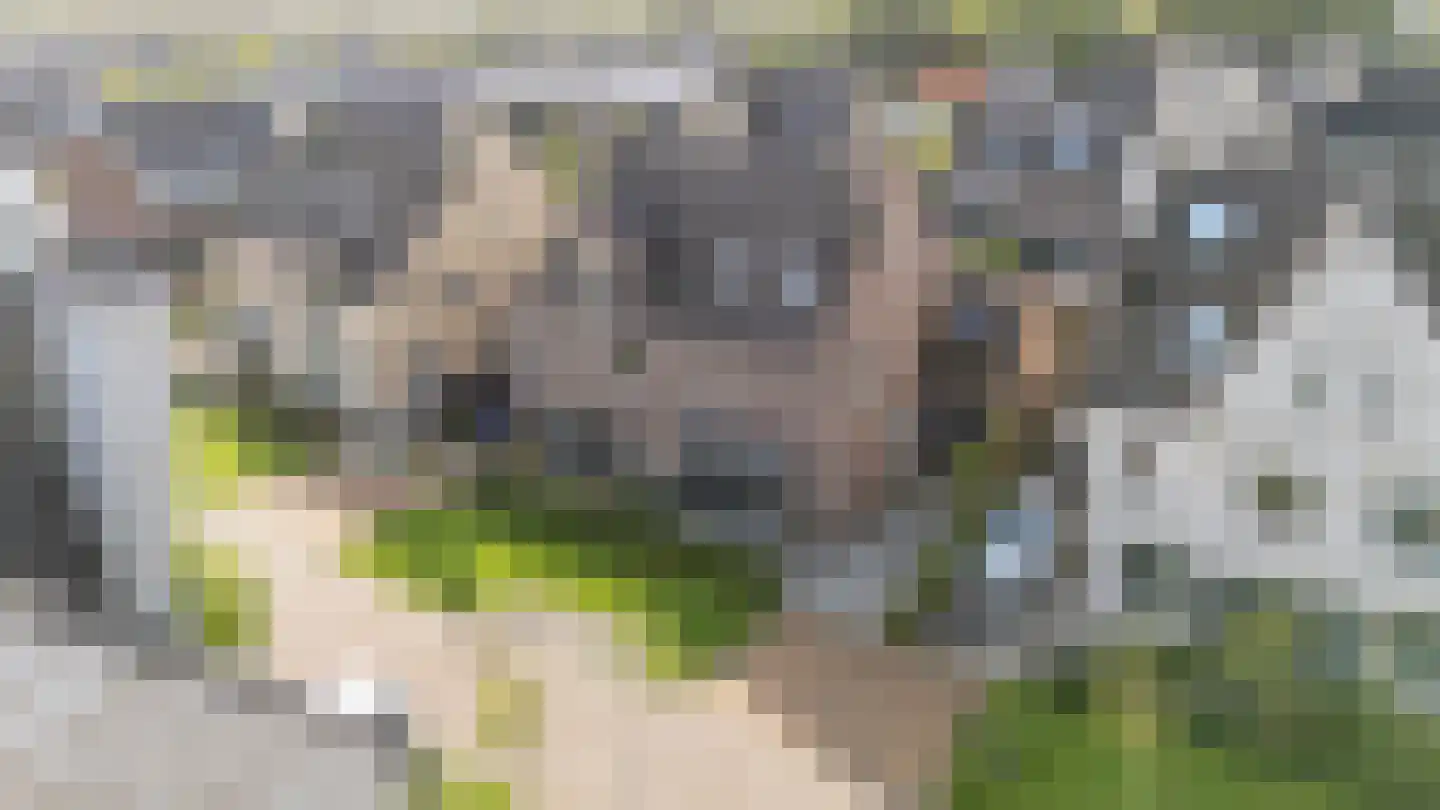 Bloemenkelderlaan 8 Vleuten thumbnail 7