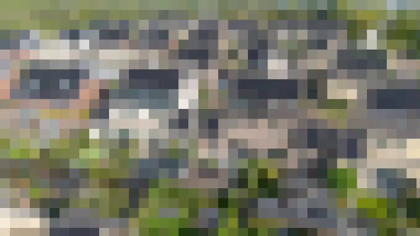 Bloemenkelderlaan 8 Vleuten thumbnail 8