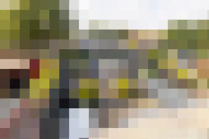 Bloemenlaan 12 Wateringen thumbnail 34