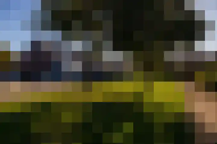 Bloemenlaan 12 Wateringen thumbnail 40