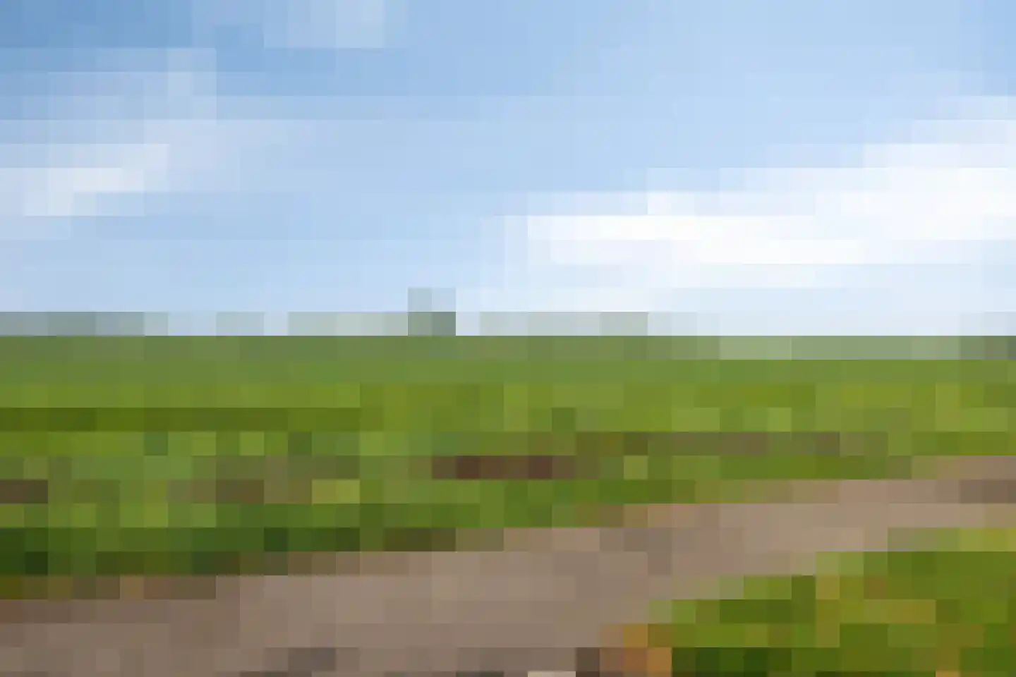 Bloemenlaan 120 Sint-Maartensdijk thumbnail 40