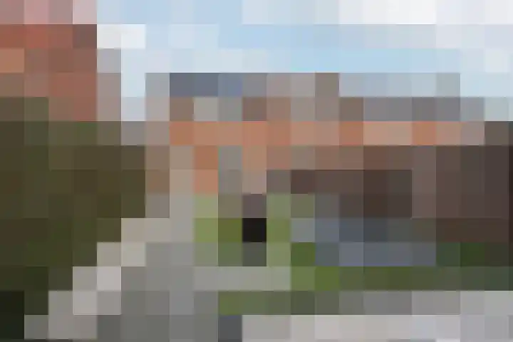 Bloemenlaan 139 Sint-Maartensdijk thumbnail 32