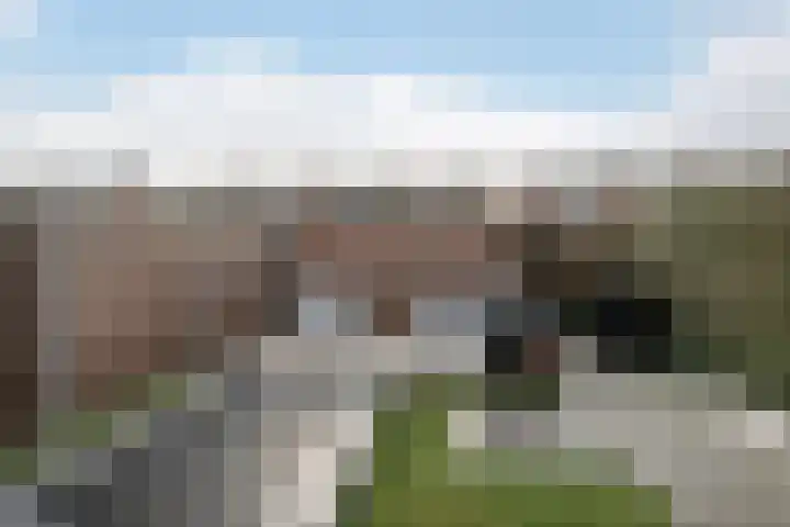 Bloemenlaan 139 Sint-Maartensdijk thumbnail 34
