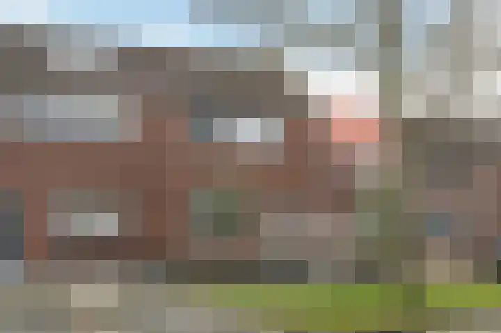 Bloemenlaan 139 Sint-Maartensdijk thumbnail 6