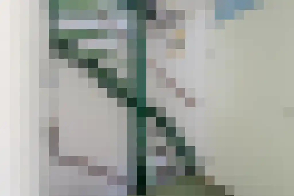 Bloemenlaan 14 Hoogerheide thumbnail 30