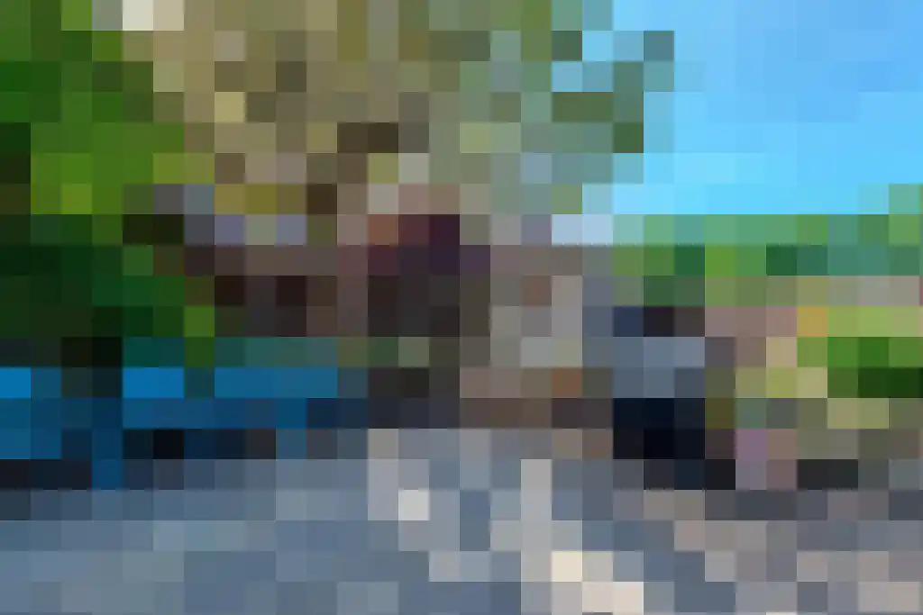 Bloemenlaan 14 Hoogerheide thumbnail 40