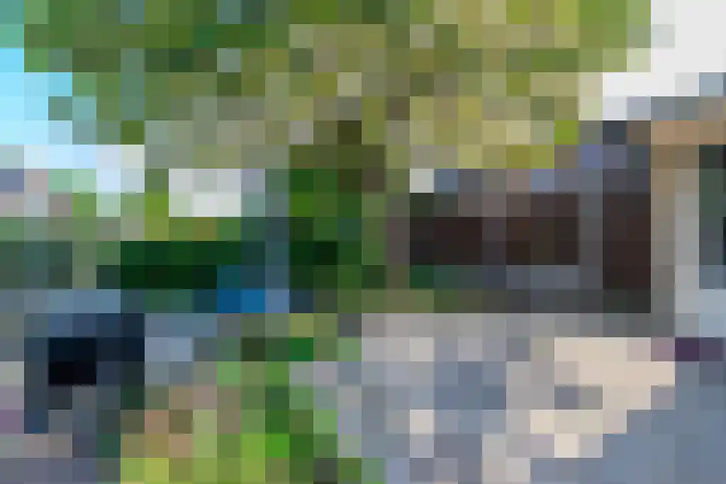 Bloemenlaan 14 Hoogerheide thumbnail 41