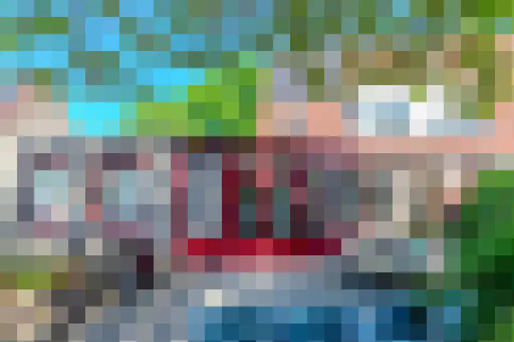 Bloemenlaan 14 Hoogerheide thumbnail 46