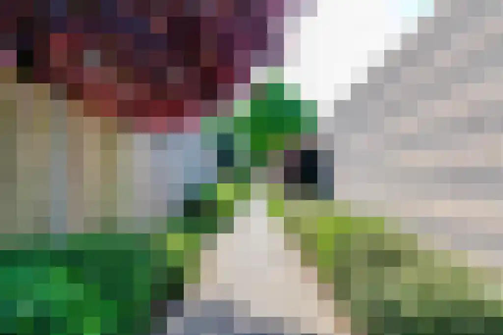 Bloemenlaan 14 Hoogerheide thumbnail 56