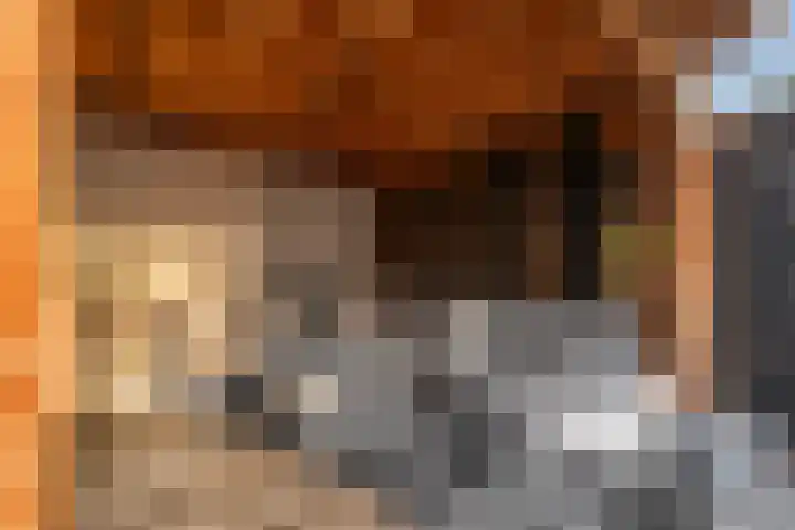 Bloemenlaan 151 Vlissingen thumbnail 29