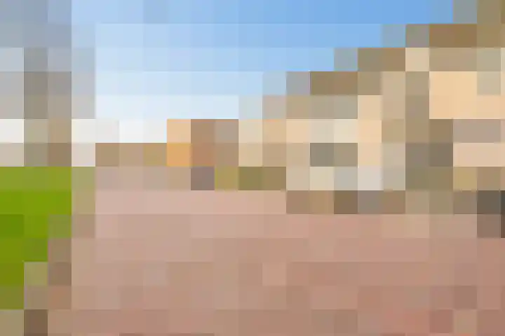 Bloemenlaan 151 Vlissingen thumbnail 32