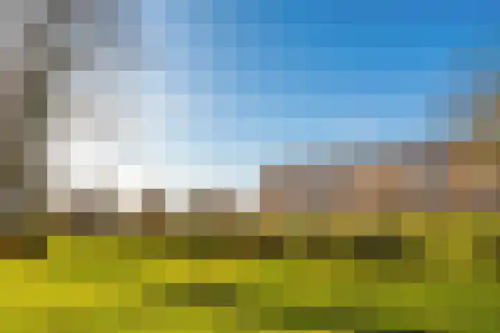 Bloemenlaan 151 Vlissingen thumbnail 33