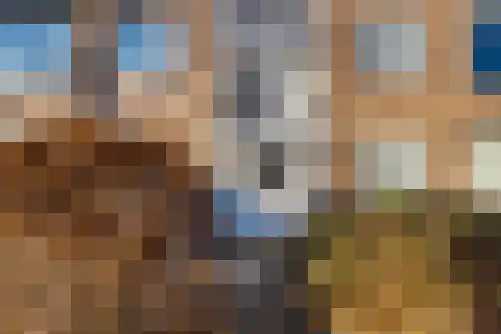 Bloemenlaan 165 Vlissingen thumbnail 6