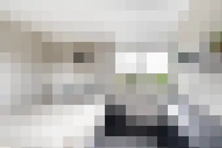 Bloemenlaan 184 Sint-Maartensdijk thumbnail 14