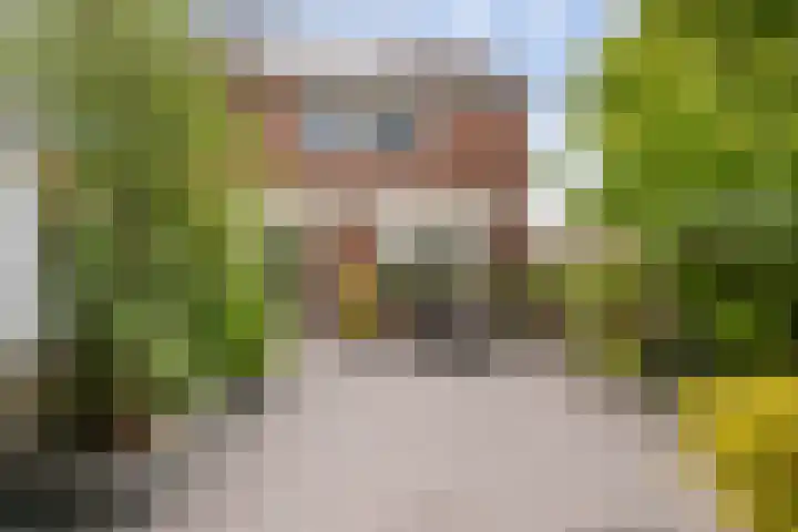 Bloemenlaan 184 Sint-Maartensdijk thumbnail 26