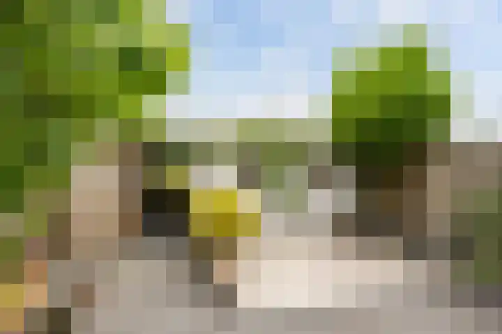 Bloemenlaan 184 Sint-Maartensdijk thumbnail 27