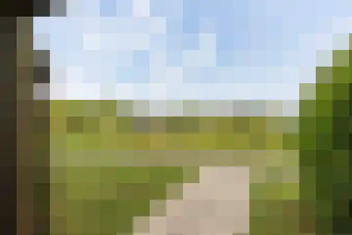 Bloemenlaan 184 Sint-Maartensdijk thumbnail 28